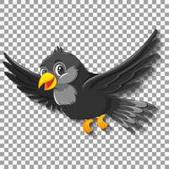 Black bird cartoon character