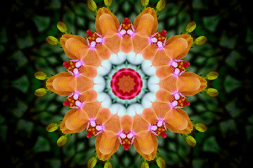 floral mandala in shades of yellow, orange, red, and green