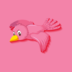 Cute pink bird cartoon character