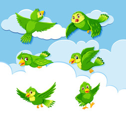 Set of bird character on sky background