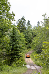 orange car driving on wooded trail