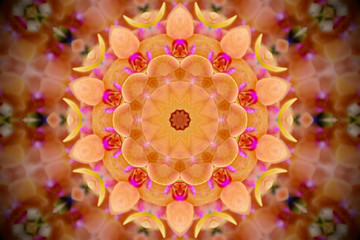 floral mandala in shades of yellow, orange, pink, and green