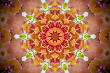 floral mandala in shades of yellow, orange, pink, red, and green