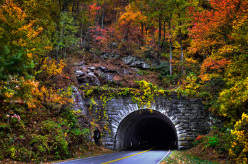 Tunnel in Autumn