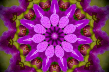 floral mandala in pink and green