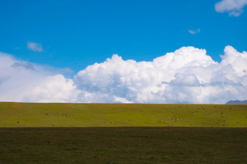 Beautiful green mountain valley with blue cloudy sky on background. Spring farm field landscape. Outdoor landscape. Sunset light. Mountain valley view. Summer nature landscape. Rural scenery.