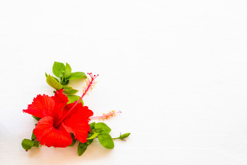 red flowers hibiscus local flora of asia with leaf arrangement flat lay postcard style on...
