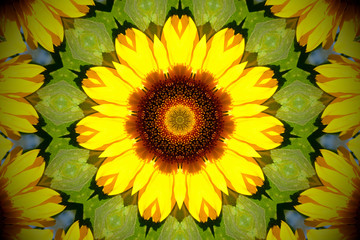 sunflower-based floral mandala in yellow, green and orange