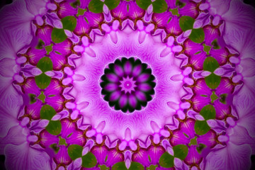 floral mandala in pink and green