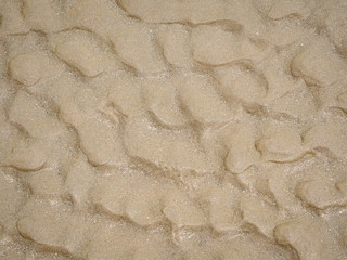 The sea waves on the sandy beach. Sea sand textured and background.