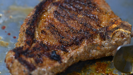 food, meat, meal, dinner, chicken, grilled, beef, fried, plate, steak, barbecue, white, dish,...