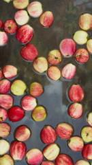 Apples in water. There are many apples on the surface of the water. Top view.