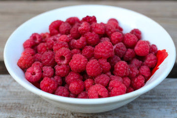 Close-up of a white plate with fresh forest raspberries, which stands on a gray wooden bench. Eco-friendly, healthy food.