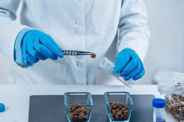 Fototapeta premium Pet Food Quality Control. Sample Preparation of Dry Dog Food for Testing in Laboratory