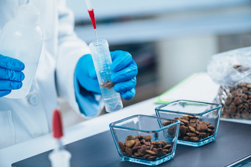 Pet Food Testing Laboratory. Microbiologist pouring water in Test Tube with Sampled Dry Pet Food