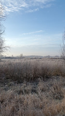 Obraz na płótnie Canvas Frosty winter morning. Nature. Country landscape. Cold winter morning