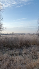 Frosty winter morning. Nature. Country landscape. Cold winter morning