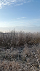 Obraz na płótnie Canvas Frosty winter morning. Nature. Country landscape. Cold winter morning