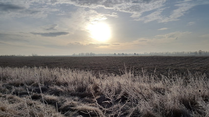 Frosty winter morning. Nature. Country landscape. Cold winter morning