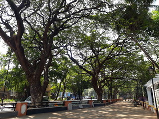 Naklejka premium Footpaths in the city of goa, Indian beautiful footpaths in goa.