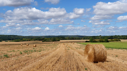 Wheat fields and hills in the French Gatinais regional nature park