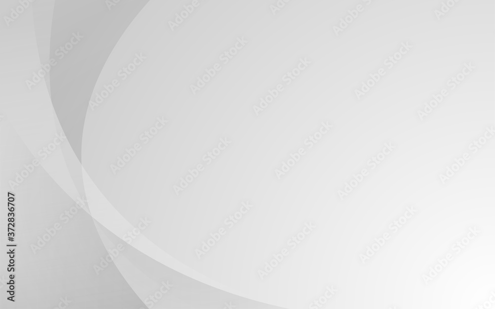 Wall mural gray modern curve smooth lines texture abstract background vector illustration