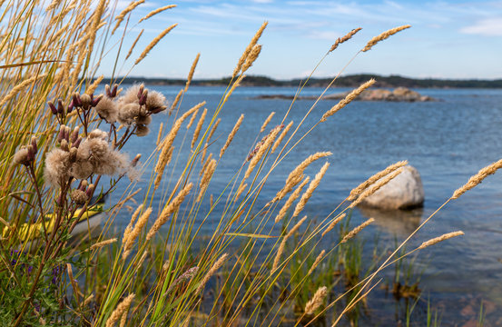 Beautiful Nordic Bay with Rocky Shore and Blue Water. Serene Scandinavian Coastal Landscape with Stones