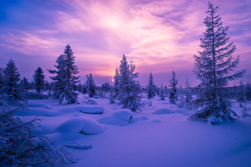 Winter snowscape with forest, trees and snowy cliffs. Blue sky. Winter landscape. Christmas background