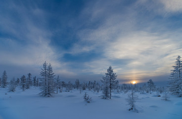 Winter lanscape with sunset, trees and cliffs over the snow. Winter snowscape with forest, trees and snowy cliffs. Blue sky. Winter landscape.