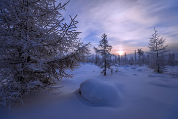 Winter lanscape with sunset, trees and cliffs over the snow. Winter snowscape with forest, trees...