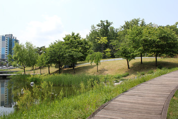 Lake and wood way in the spring park. 
