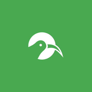 abstract kiwi logo. kiwi icon