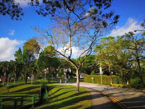 A Beautiful Day