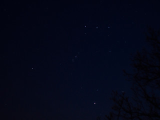 Fototapeta na wymiar Orion constellation in the sky.