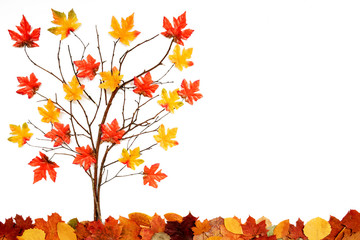 Tree With Colorful Leaf Decoration, Copy Space