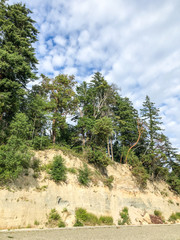 Burfoot Park