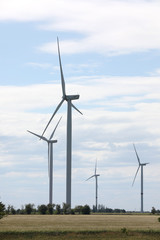 Fototapeta premium Beautiful view of field with wind turbines. Alternative energy source