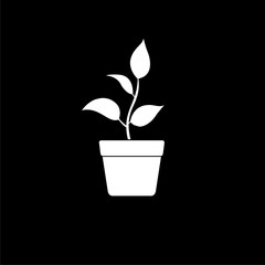 Silhouette of a plant seedling in a pot icon isolated on dark background