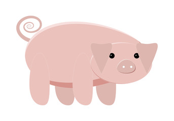 Cerdo entero rosa en un fondo blanco.