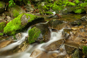Waterfall of mountain with stones covered with moss. Summer landscape.