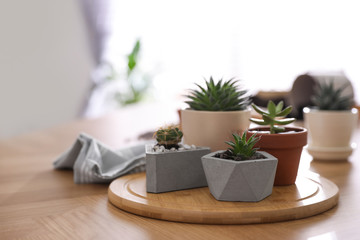 Beautiful potted plants on wooden table at home, space for text. Engaging hobby