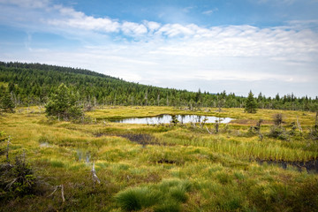 Peat bog with little lake under blue sky