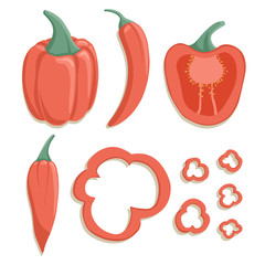 Vector bell peppers collection in cartoon style. Bright chili peppers vegetables isolated on white background.