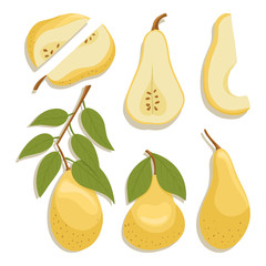 Vector pears collection in cartoon style. Bright pear fruits isolated on white background.