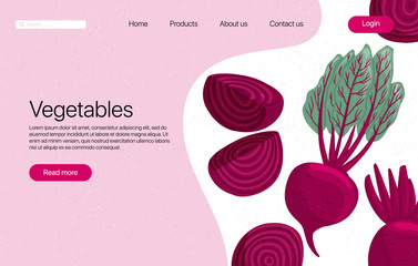 Vector beets landing page template with text space. Beetroot cartoon illustration.