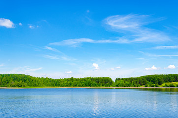 Lake in the forest on a clear summer day. Specular reflection in the water. Green foliage of trees. Coast. Blue sky with white clouds on a sunny day.