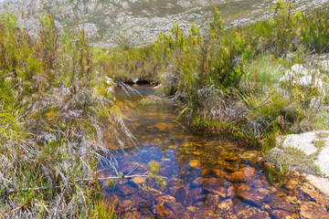 Beautiful landscape along a small river in the Mountains of Ceres, Western Cape, South Africa