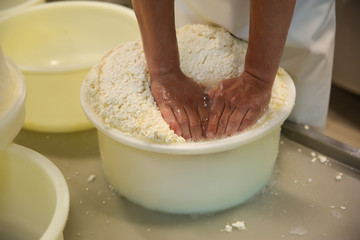 Worker pressing curd into mould at cheese factory, closeup