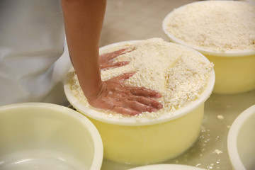 Worker pressing curd into mould at cheese factory, closeup