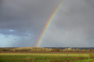 rainbow over the vineyards